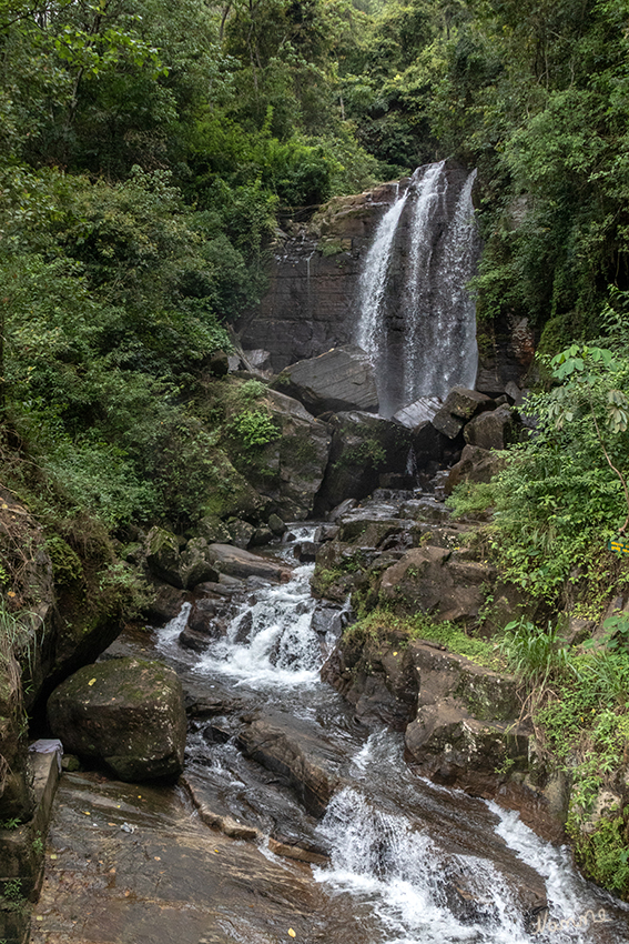 In den Bergen
Die Region des bekannten Ceylon Tees. Ein abwechslungsreiches Kontrastprogramm mit Teeplantagen, Wasserfällen, Flüssen, dichtem Dschungel, Graslandschaften und einer bunten Tierwelt.
Schlüsselwörter: Sri Lanka,   Berge,    Wasserfall