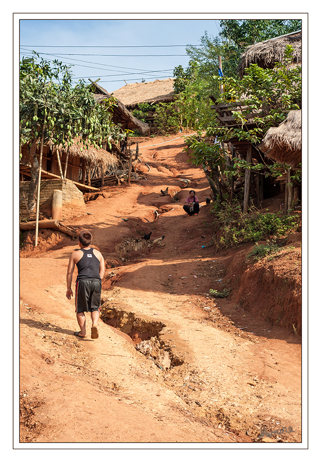 Im Dorf der Akha
Die Hauptstraße hoch zur Kirche.
Die Akha leben traditionell in Bambushütten, die auf Holzpfählen gebaut sind. Ihre Dörfer liegen meist auf hohen Bergrücken in den Hochgebieten Nordthailands, Birmas, Laos und Südchinas.
laut Wikipedia
Schlüsselwörter: Thailand Akha