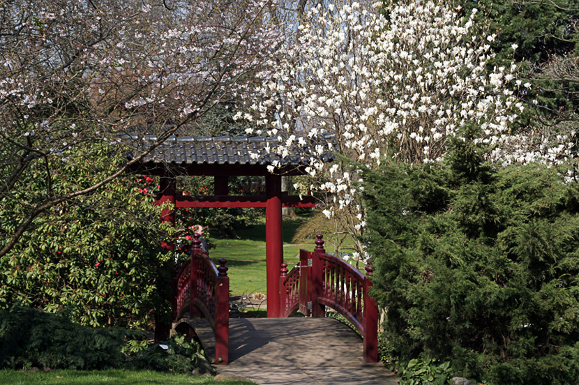 Japanischer Garten ll
Schlüsselwörter: Japanischer Garten  Leverkusen