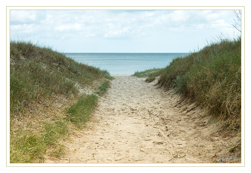 Dünendurchgang
einer der vielen die in regelmäßigen Abständen sind
Schlüsselwörter: Rügen, Strand