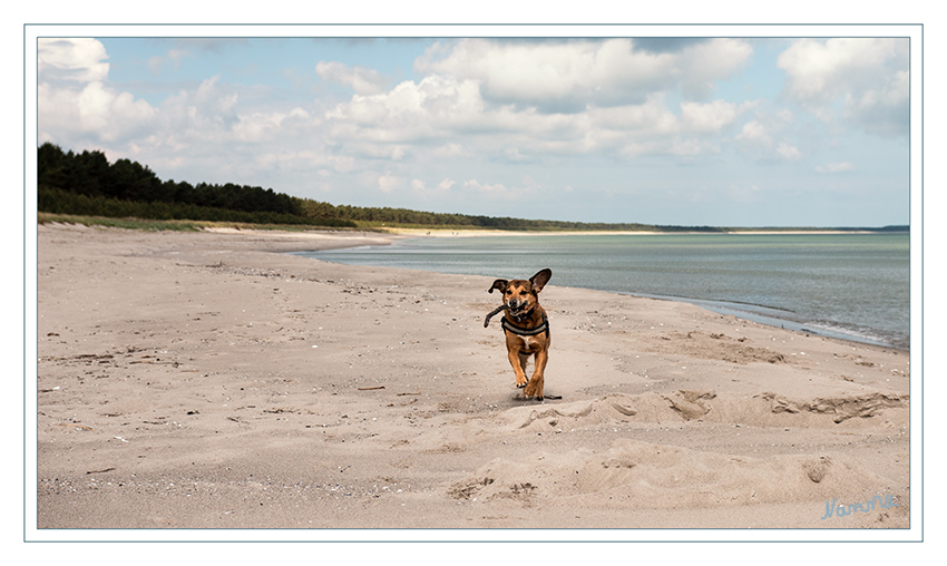 Einsamer Strand
Schlüsselwörter: Rügen, Strand