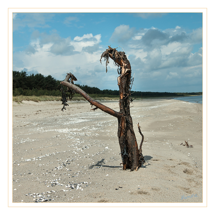 Einsam
Schlüsselwörter: Rügen, Strand