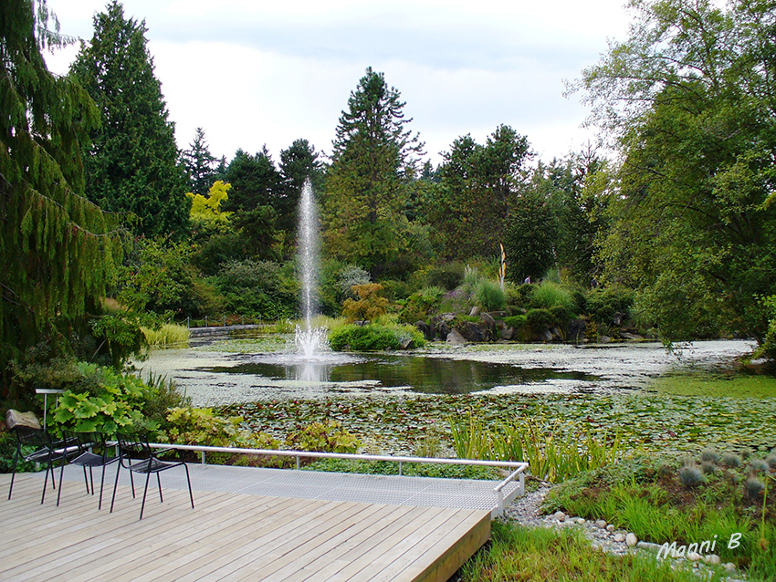 Kanadaimpressionen
Van Dusen Botanical Garden 
Vancouver
Schlüsselwörter: Kanada Vancouver Botanischer Garten