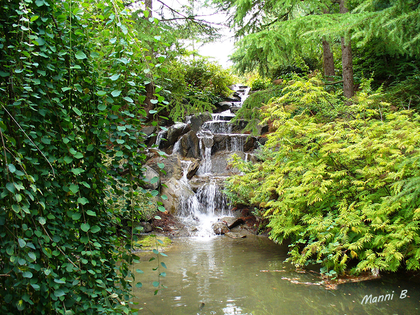 Kanadaimpressionen
Der VanDusen Botanical Garden ist ein 22 Hektar großer botanischer Garten in der kanadischen Stadt Vancouver. Er befindet sich im Stadtbezirk Shaughnessy an der Ecke West 37th Avenue/Oak Street, wird von der städtischen Parkbehörde verwaltet und von Freiwilligen gepflegt.
laut Wikipedia
Schlüsselwörter: Kanada Van Dusen Botanical Garden Vancouver