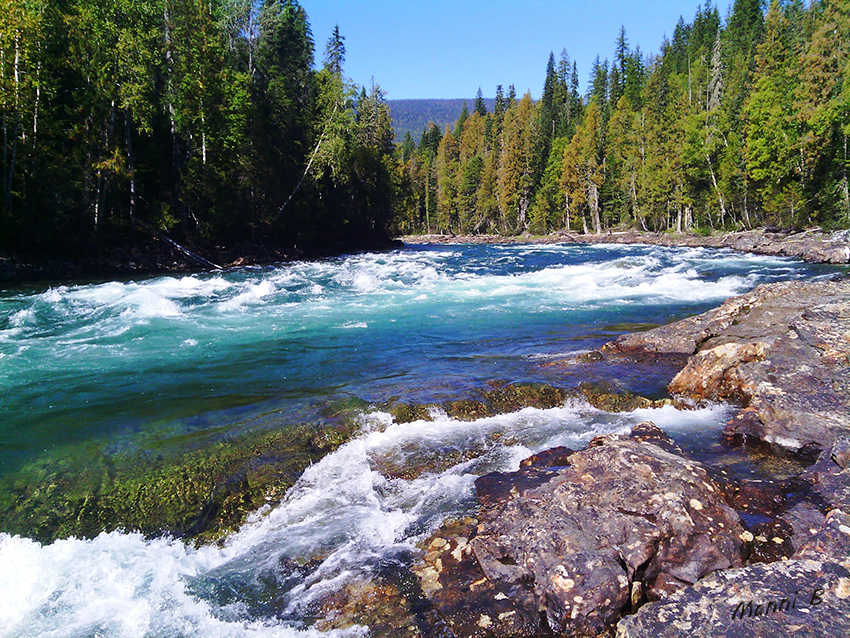 Kanadaimpressionen
Wildwasser
Schlüsselwörter: Kanada Wildwasser