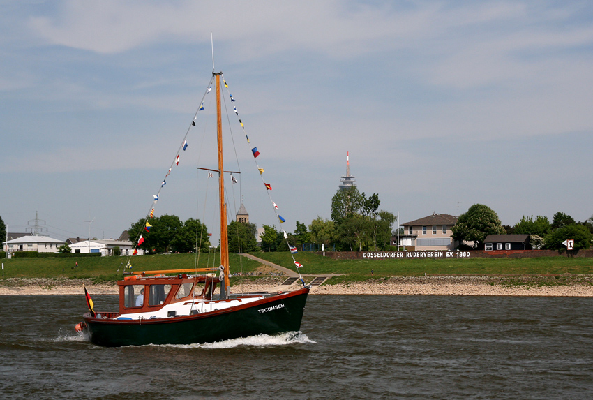 Im Mai am Rhein
Schlüsselwörter: Rhein   Kutter    Mai