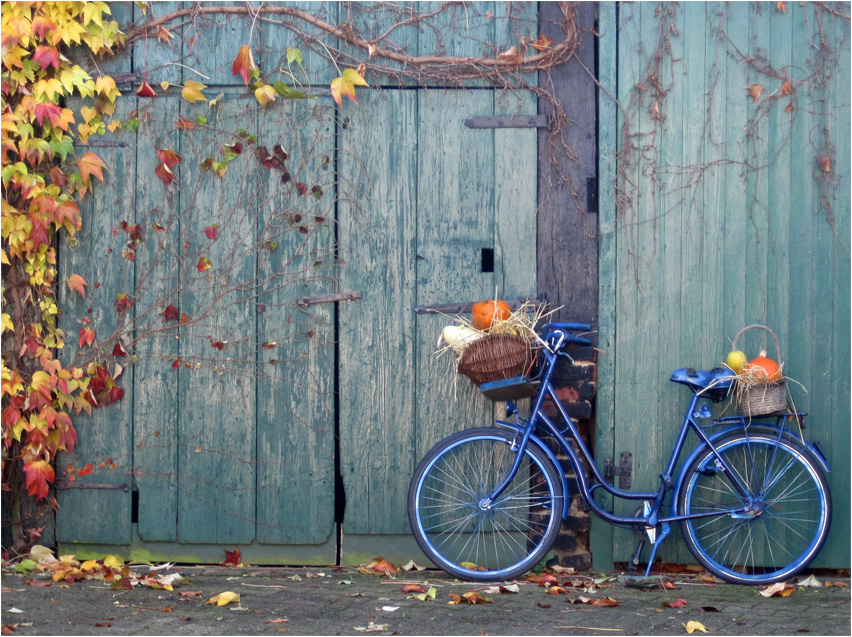 Herbstlich
Schlüsselwörter: Fahrrad