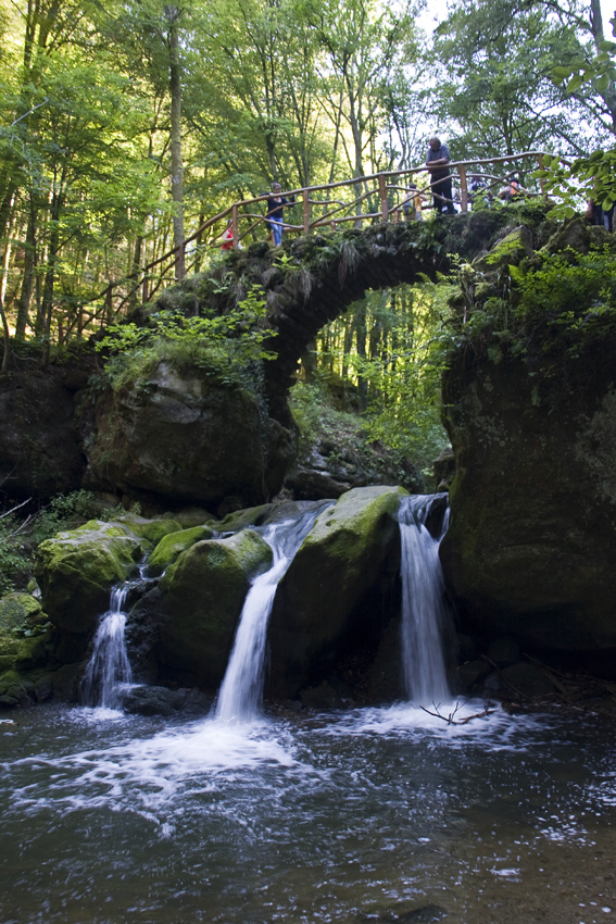 Schöne Natur
Schlüsselwörter: Müllerthal                        Luxenburg