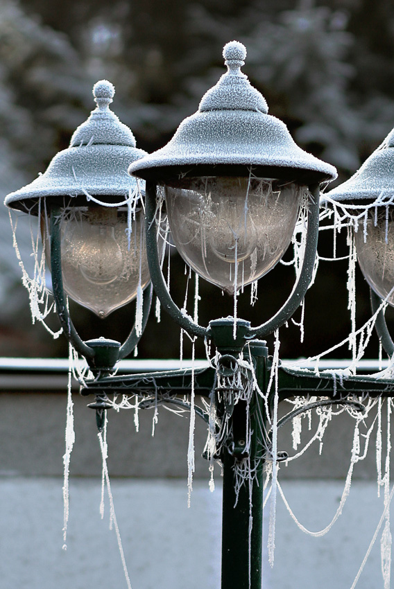 Winterfeeling
Schlüsselwörter: Laterne      Raureif       Spinnennetz