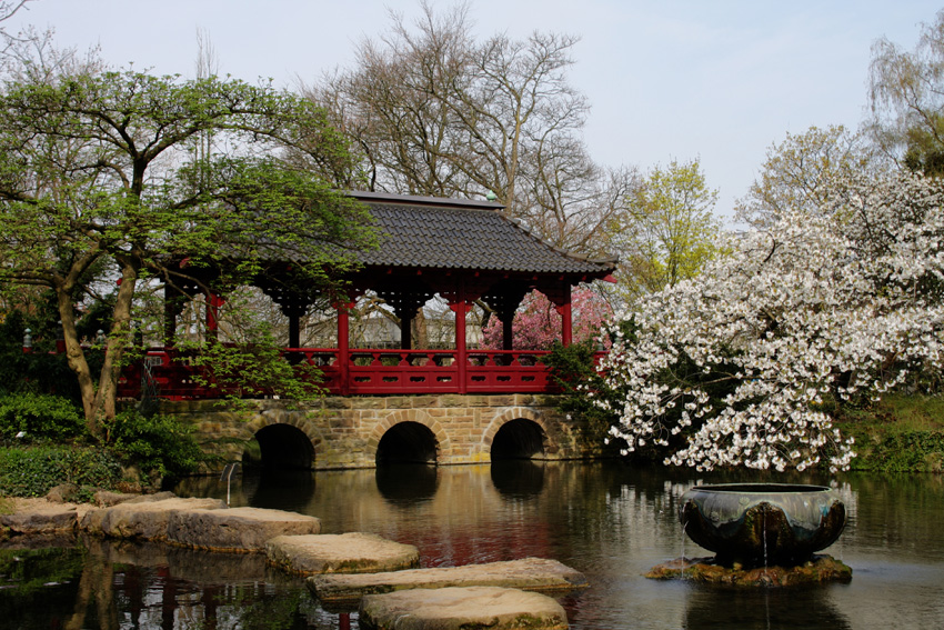 Japanischer Garten
in Leverkusen
Schlüsselwörter: Japanischer Garten      Leverkusen