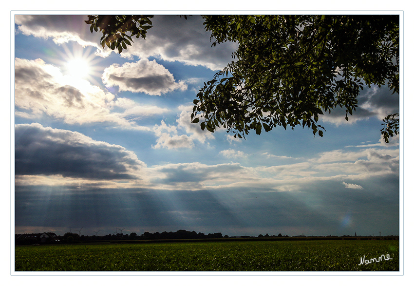 Lichtstrahlen
Schlüsselwörter: Lichtstrahlen