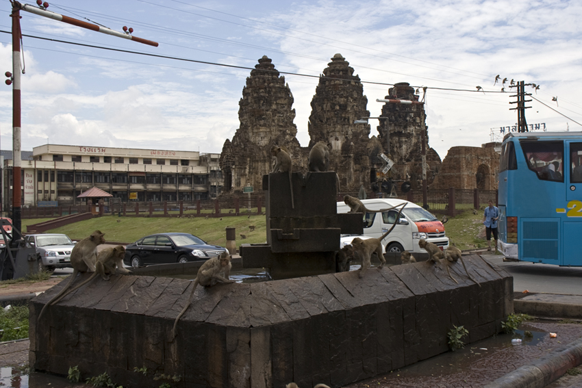 Wat Phra Prang Sam Yod
Was den Tempel jedoch vor allem bekannt gemacht hat, ist die freche Affenhorde, die sich den Tempel und die anliegenden Strassen zum Revier auserkoren hat.
Nachdem man versucht hatte, die Affen mit den Zug in ein Naturschutzgebiet umzusiedeln, kamen sie wieder. Mit dem Zug. Seitdem lebt man mit den Tieren
