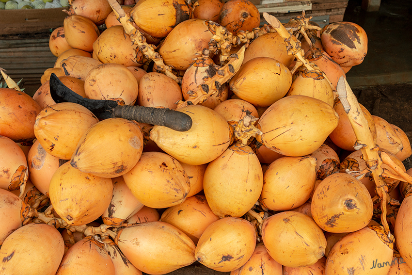 Unterwegs - Marktstand
Kokosnuss bereit zum trinken
Schlüsselwörter: Sri Lanka, Marktstand