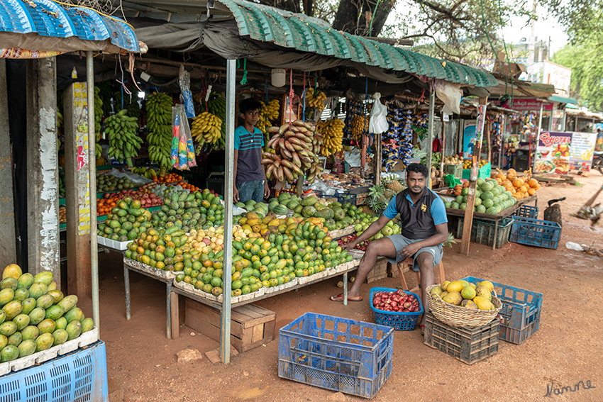 Unterwegs - Marktstand
Immer wieder gab es Marktstände entlang der Straße mit Obst und Gemüse.
Schlüsselwörter: Sri Lanka,   Marktstand