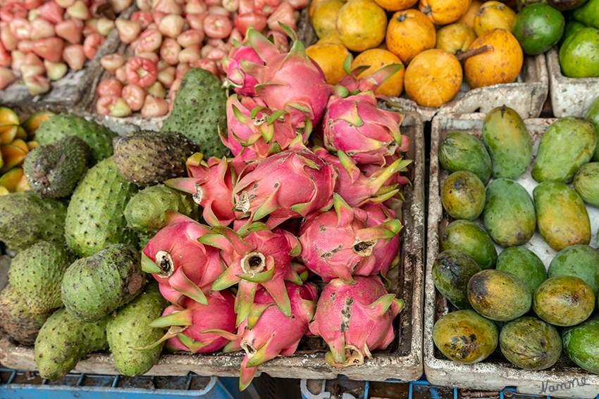 Unterwegs - Marktstand
Immer wieder gab es Marktstände entlang der Straße mit Obst und Gemüse.
Schlüsselwörter: Sri Lanka, Marktstand