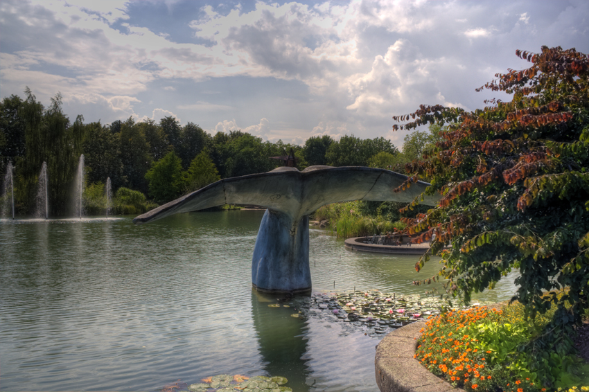 Abgetaucht
Maximiliansee mit Teich - und Sumpfgebieten sowie dieser Walflosse
Schlüsselwörter: Maximilianpark