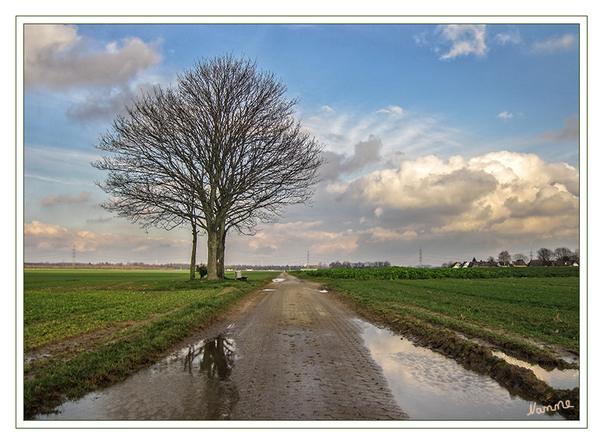 Mein Freund der Baum
Februar 2014
Nass und warm
Schlüsselwörter: Baum