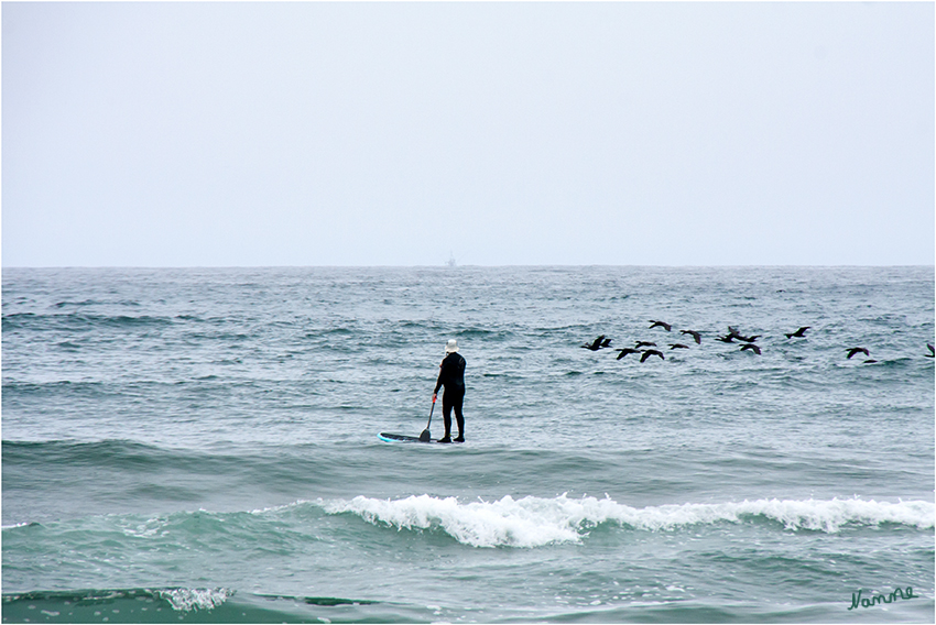 Warten
auf Wellengang
Schlüsselwörter: Moro Bay Surfer