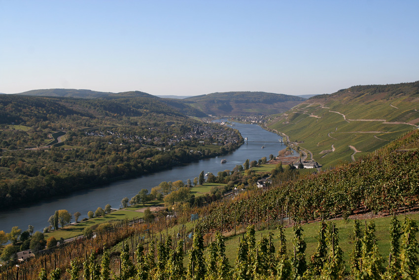 Blick auf die Mosel
Schlüsselwörter: Mosel     Weinberge