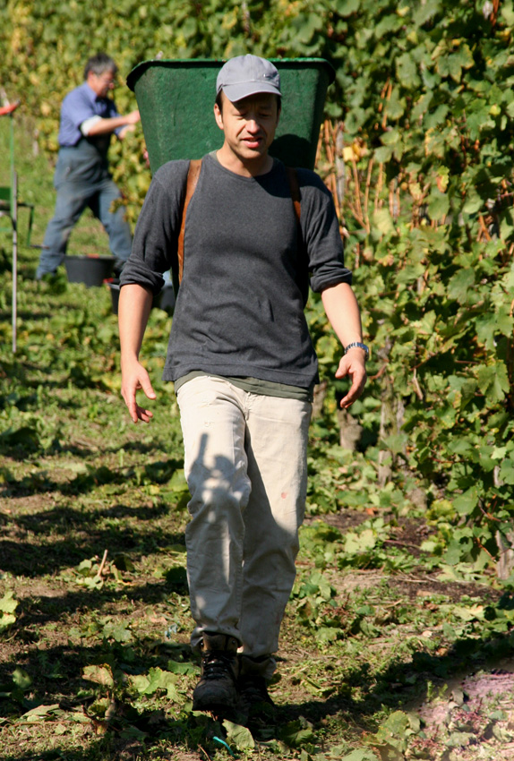 In den Weinbergen
Mosel
Schlüsselwörter: Mosel     Weinberge