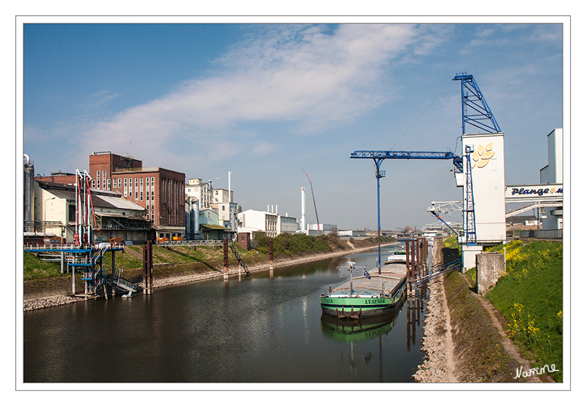 Hafentour
Mit einem Gesamtvolumen von über 15,8 Millionen Tonnen ist er der drittgrößte Binnenhafen Deutschlands. Im August 2003 entstand durch Fusion zweier Häfen die Neuss-Düsseldorfer Häfen GmbH.
laut Rheinischer Post
Schlüsselwörter: Hafen Neuss