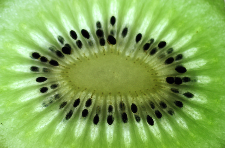 Kiwi ll
Schlüsselwörter: Kiwi