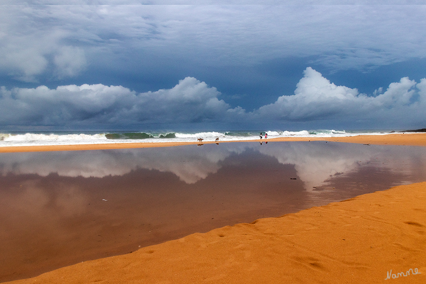 20 - Nach dem Gewitter
Schlüsselwörter: Sri Lanka, Strand