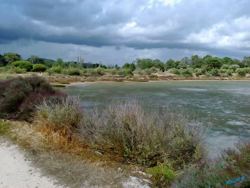 Naturpark Rio Formosa
bei Olhao Portugal
Die Lagunenlandschaft entstand durch das letzte große Seebeben 1755. Seitdem verändern Wind, Wellengang und Gezeitenstrom bis heute  beständig Breite, Tiefe und Lage der Barriereinseln und der Gezeitenbecken, bei starker Brandung oft innerhalb weniger Tage. laut portugalexkursionen
Schlüsselwörter: Portugal, Rio Formosa