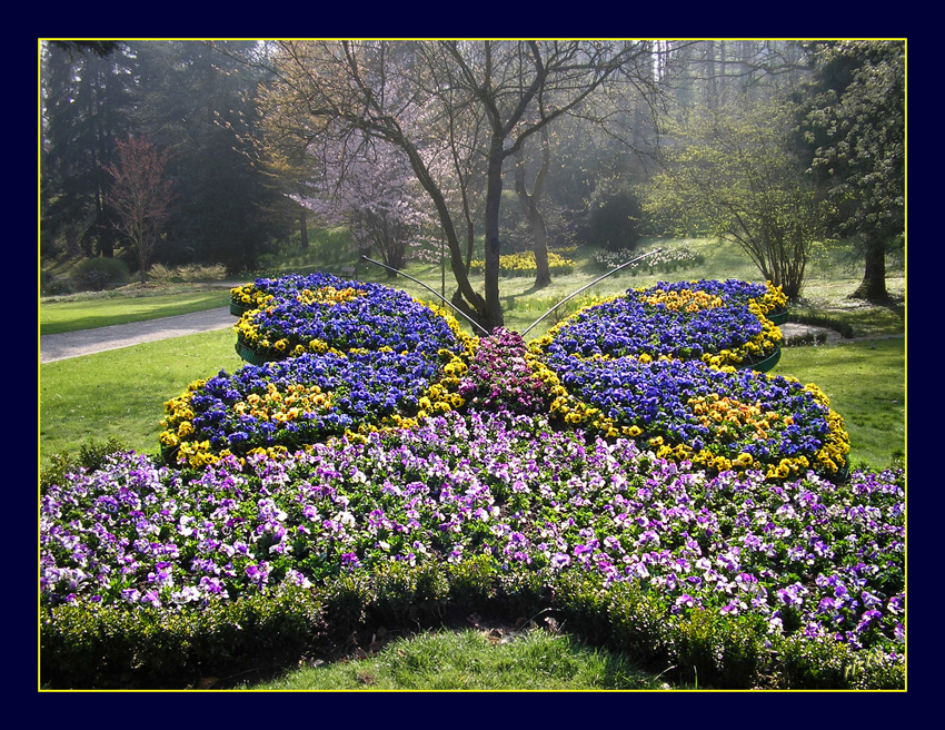 Der Frühling kann kommen
