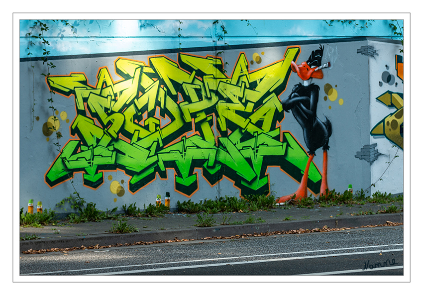 Stadtverschönerung
Graffitis am Straßenrand
Schlüsselwörter: Graffiti