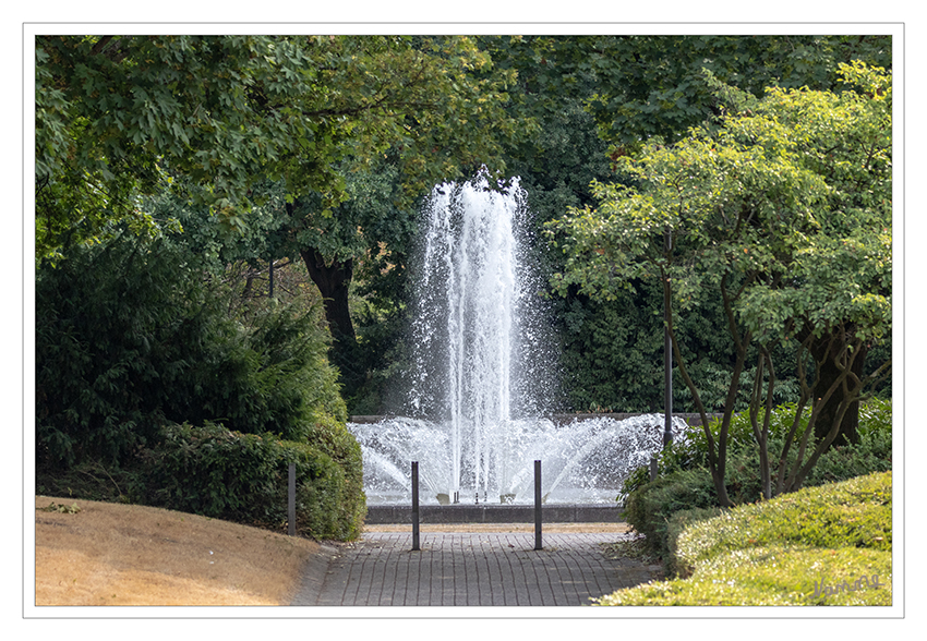 Wasserfontäne
Stadtgarten Neuss
Schlüsselwörter: Stadtgarten, Neuss, Wasserfontäne