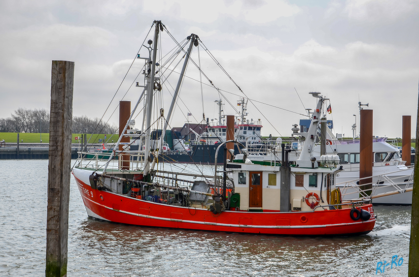 Fischerboot
aus Greetsiel angelegt in Norddeich
Schlüsselwörter: Norddeich, Nordsee, Fischerboot