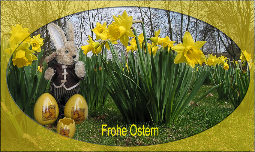 Frohe Ostern
Schlüsselwörter: Osterkarte