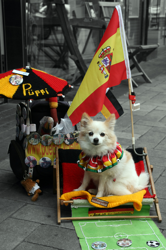 Der ganz besondere Fußballfan
Püppi 
schau auch unter www.pueppi-koeln.de
Schlüsselwörter: Püppi Hund Fan