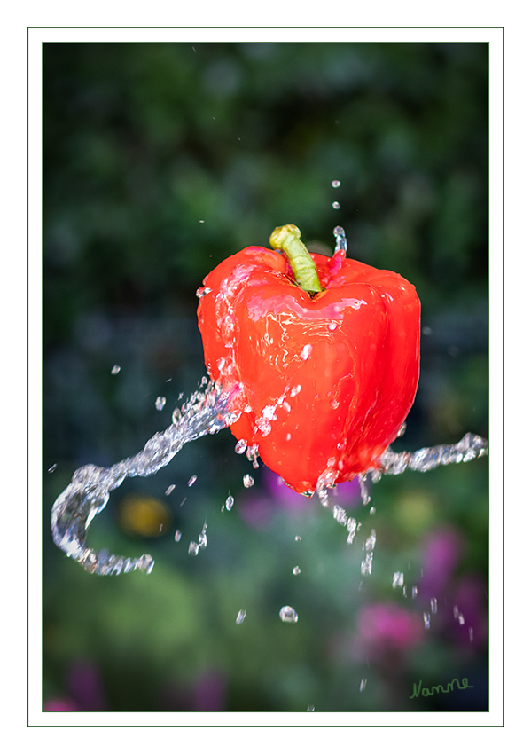 Erfrischung gefällig?
Schlüsselwörter: Paprika; Wasser