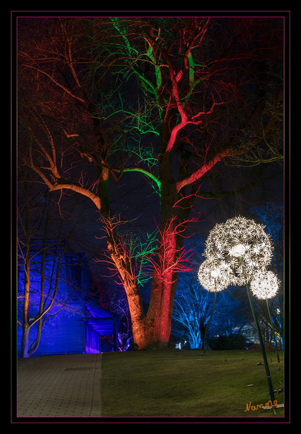 Gruga - Parkleuchten
Das Areal ist wie gemacht für Illuminationen verschiedenster Art: Alter Baumbestand, ein romantisches Wegenetz und lauschige Ecken bieten eine abwechslungsreiche Kulisse für Beleuchtungen, Projektionen sowie Licht- und Schattenspiele. Die Bäume scheinen bunt. Den Wegesrand säumen Lichtobjekte. Darunter grafische Elemente, Abstraktes und Originelles. laut grugapark
Schlüsselwörter: Essen, Parkleuchten