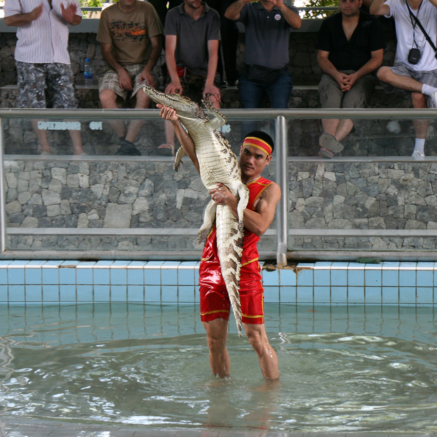 Hautkontakt
mit einem Krokodil
Krokodilschau im Million Years Stone Park
