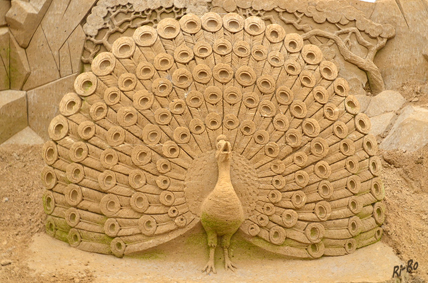 Sandskulpturen - Pfau
Schlüsselwörter: Sandskulpturen