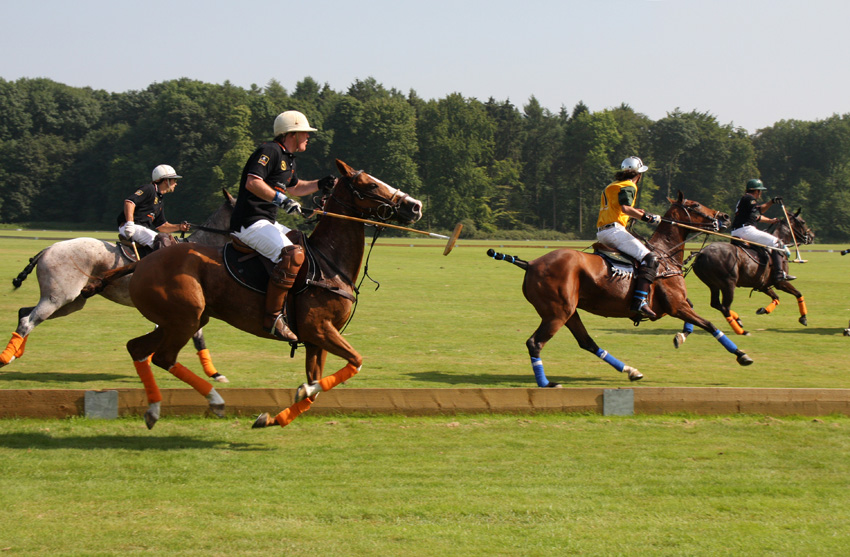 Polo
Gespielt wird mit zwei Mannschaften zu je vier Spielern, daneben gibt es zwei berittene Schiedsrichter auf dem Feld und einen Oberschiedsrichter am Spielfeldrand.
Schlüsselwörter: Pferdepolo                      Polo