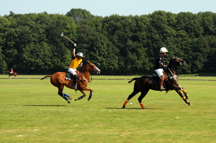 Polo
Ein Spiel kann zwischen vier und acht Chucka lang sein. Die Spielrichtung wechselt nach jedem Tor, um einseitige Vorteile - beispielsweise durch den Sonnenstand oder ein eventuelles Geländegefälle - zu verhindern.
Schlüsselwörter: Pferdepolo             Polo