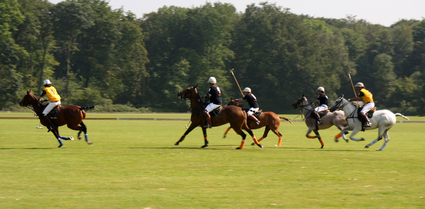 Polo
Jeder Polospieler hat je nach Leistungsstärke ein persönliches Handicap, das bei -2 beginnt und bis +10 gehen kann. Die besten Polo-Spieler der Welt mit einem HDC von +10 kommen zum größten Teil aus Argentinien. Die Summe der vier Einzelhandicaps bilden das Gesamthandicap einer Mannschaft. Wenn Mannschaften mit unterschiedlichen Handicaps antreten, erhält die Mannschaft mit dem geringeren Handicap einen Tore-Vorsprung.
Schlüsselwörter: Polo                           Pferdepolo