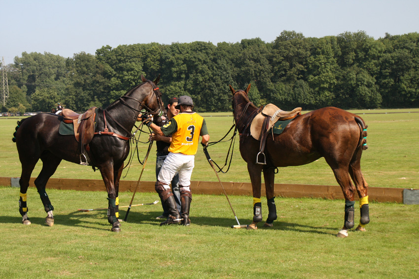 Pferdewechsel
Beim Polo braucht man mehrere Pferde zum Wechseln, um die Belastung für die Tiere erträglich zu gestalten.
Schlüsselwörter: Pferdepolo          Polo