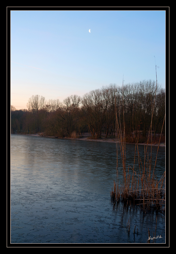 Morgens
am Reuschenberger See
