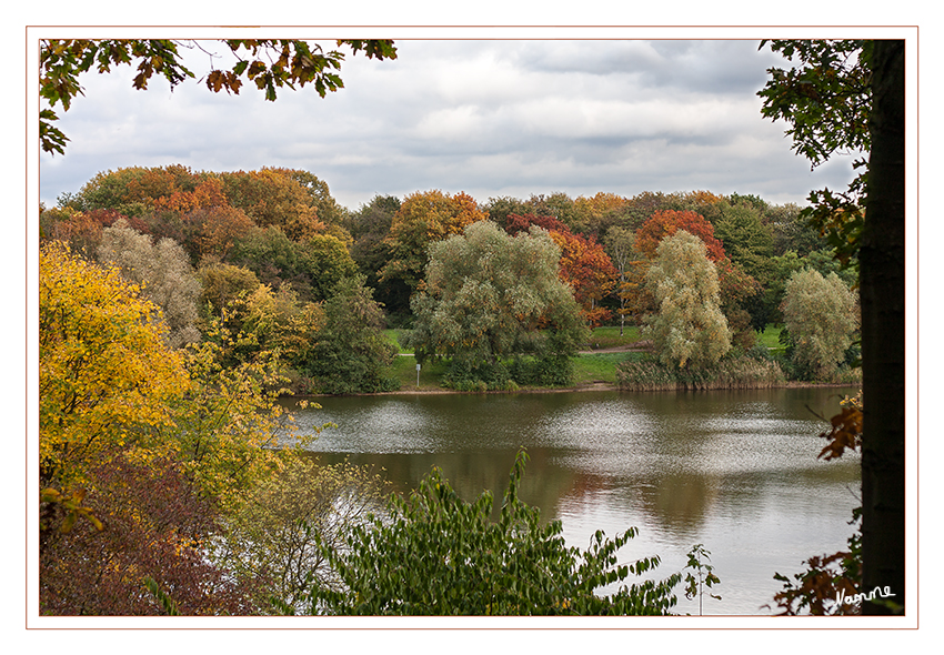 Ausblick
mit wunderbaren Herbstfarben
Schlüsselwörter: Reuschenberger See