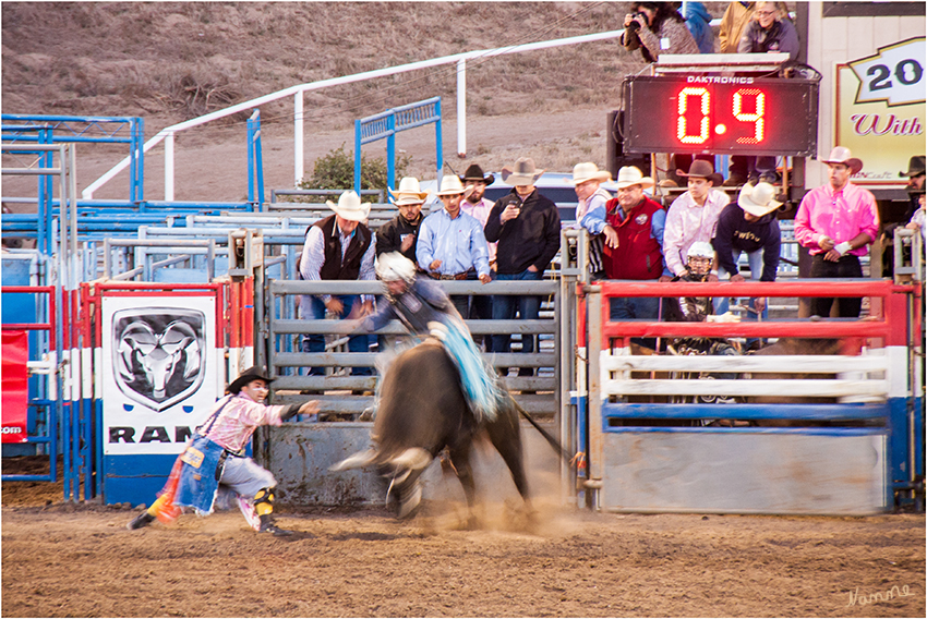 Bullen reiten
Bull Riding - hier muss sich der Reiter möglichst lange auf dem Tier halten, ohne abgeworfen zu werden. 
Gefährlich wird es bei dieser Disziplin, wenn der Reiter abgeworfen wird, denn der Bulle kann den am Boden Liegenden sofort angreifen. Dann schreiten bereitstehende Rodeoclowns ein, die das Tier von seinem Opfer ablenken sollen.
laut travelworldonline.de
Schlüsselwörter: Rodeo Bullen reiten Bull riding