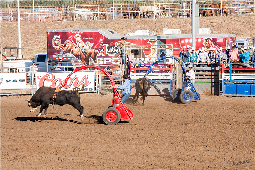 Rodeo - Bullen reiten
Das etwas andere Bullen reiten
Schlüsselwörter: Rodeo Bullen reiten Bull riding