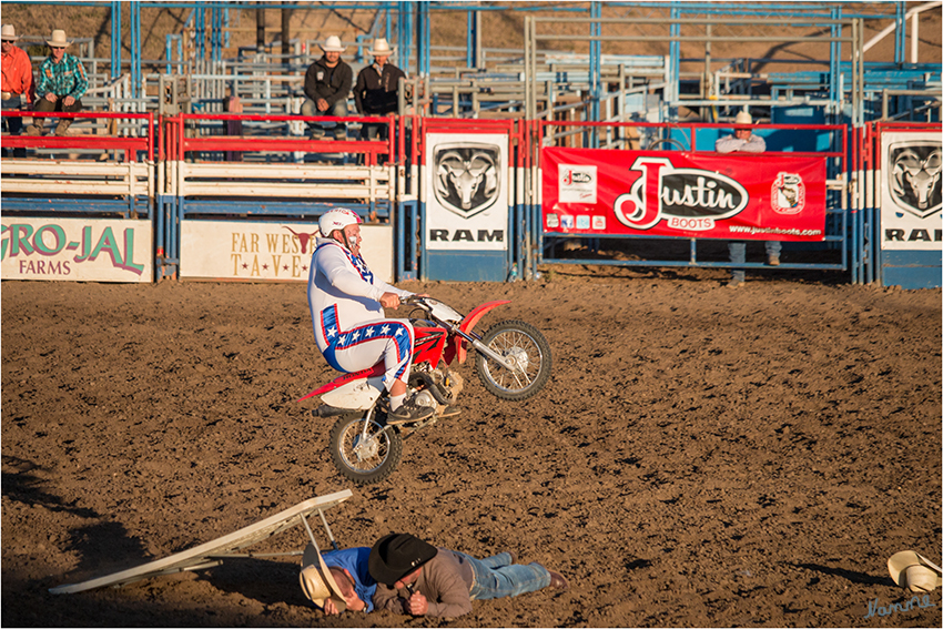 Rodeo Clown
Belustigung für die ganze Familie
Schlüsselwörter: Rodeo Clown