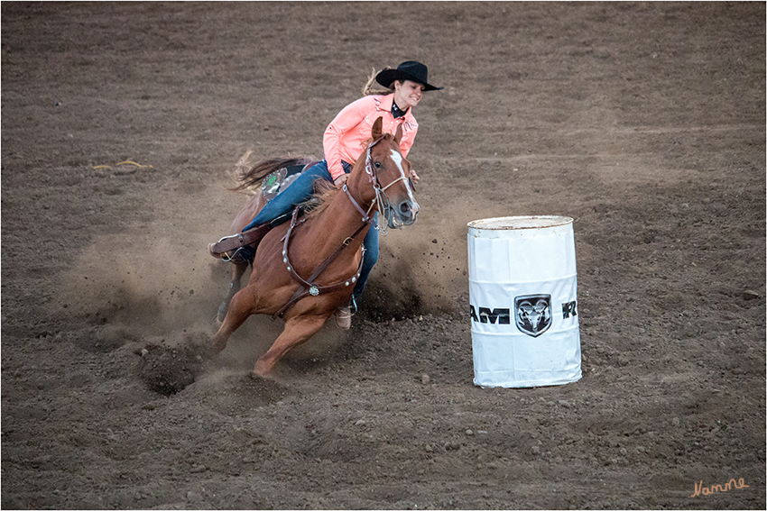 Barrel Racing
Für die Cowgirls ist der wichtigste Wettbewerb das "Barrel Racing", wo es um die Geschwindigkeit und Geschicklichkeit geht, mit der das Pferd durch einen Parcours von Fässern gelenkt wird.
laut gowest-reisen.de
Schlüsselwörter: Rodeo Barrel Racing Frauen