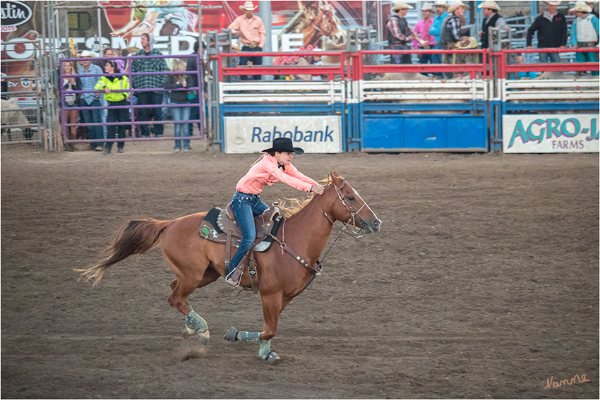 Barrel Racing
Für die Cowgirls ist der wichtigste Wettbewerb das "Barrel Racing", wo es um die Geschwindigkeit und Geschicklichkeit geht, mit der das Pferd durch einen Parcours von Fässern gelenkt wird.
laut gowest-reisen.de
Schlüsselwörter: Rodeo Barrel Racing Frauen