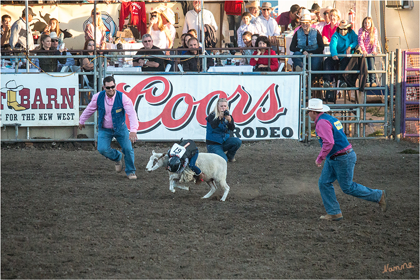 Kinderrodeo
Mutton Busting - ist das Rodeo für Kinder wo sie sich auf Schafen so lang wie möglich halten sollen
Schlüsselwörter: Rodeo Mutton Busting Schafe reiten